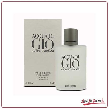 Acqua Di Gio Perfume For Men EDT 100ml Price In Pakistan