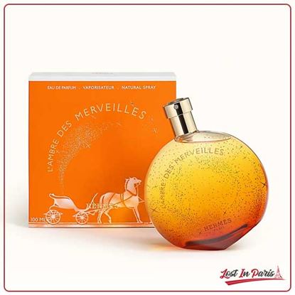 L Ambre Des Merveilles Perfume For Unisex EDP 100ml Price In Pakistan
